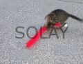 Kedi Tırmalama Fırçası - Kedi Oyuncağı