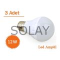 12W Enerji Tasarruflu Led Ampul ( 3 Adet )