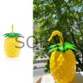 Ananas Pipetli Suluk