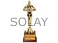 Oscar Başarı Ödülü Küçük Boy
