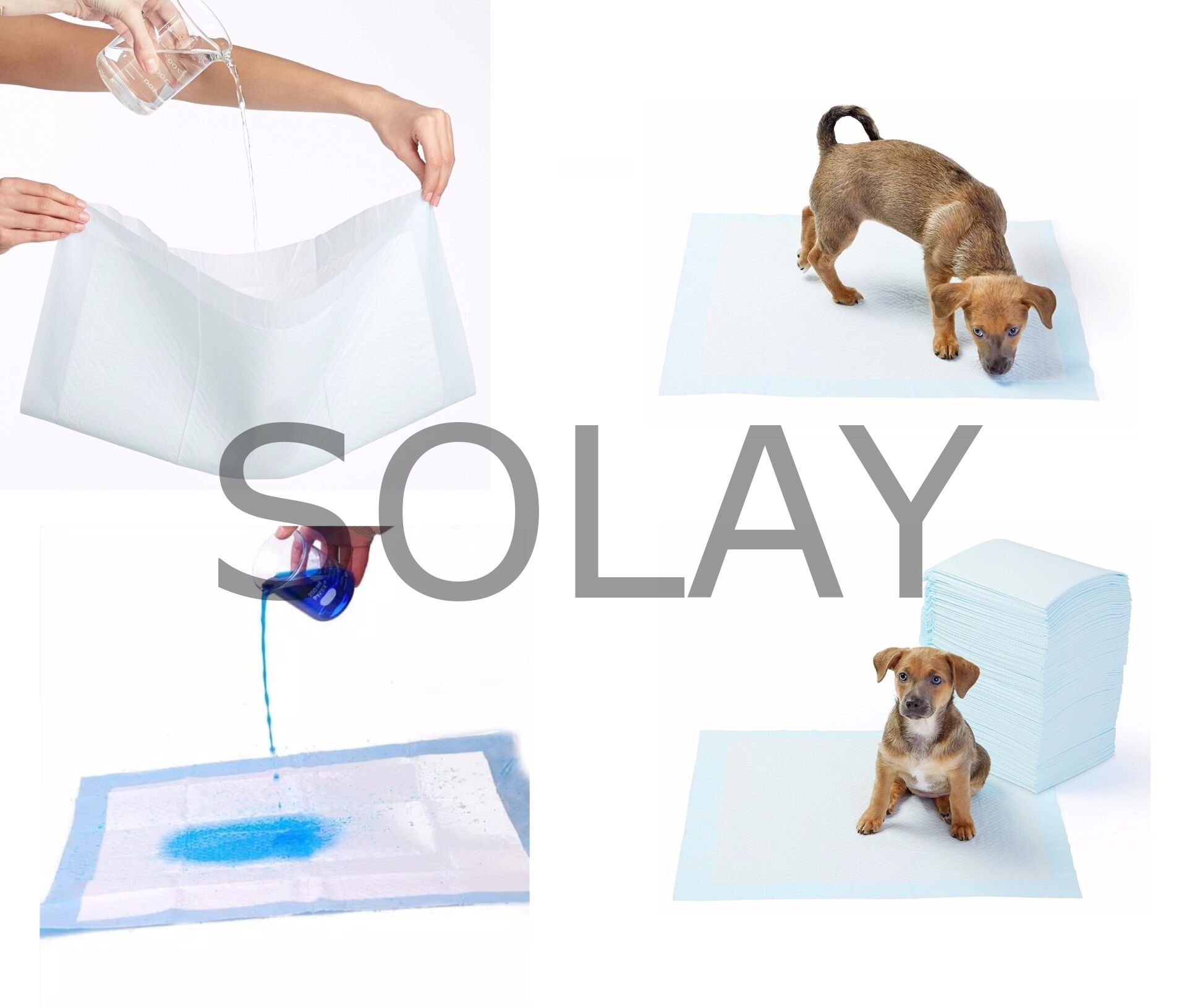 Yıkanabilir Köpek Çiş Pedi - 100 X 100 Cm