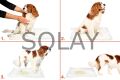 Yıkanabilir Köpek Çiş Pedi - 90 X 60 Cm 5li Paket