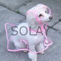 Köpek Yağmurluğu -Sarı - (Medium)