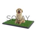 Yavru Köpek Tuvalet Eğitim Parkı 3 Katmanlı - 45Cm x 32 Cm