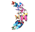 3D Kelebek Duvar Sticker Kelebek Buzdolabı Duvar Süsü