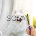 Kıtık Açıcı Metal Kedi Köpek Tarağı