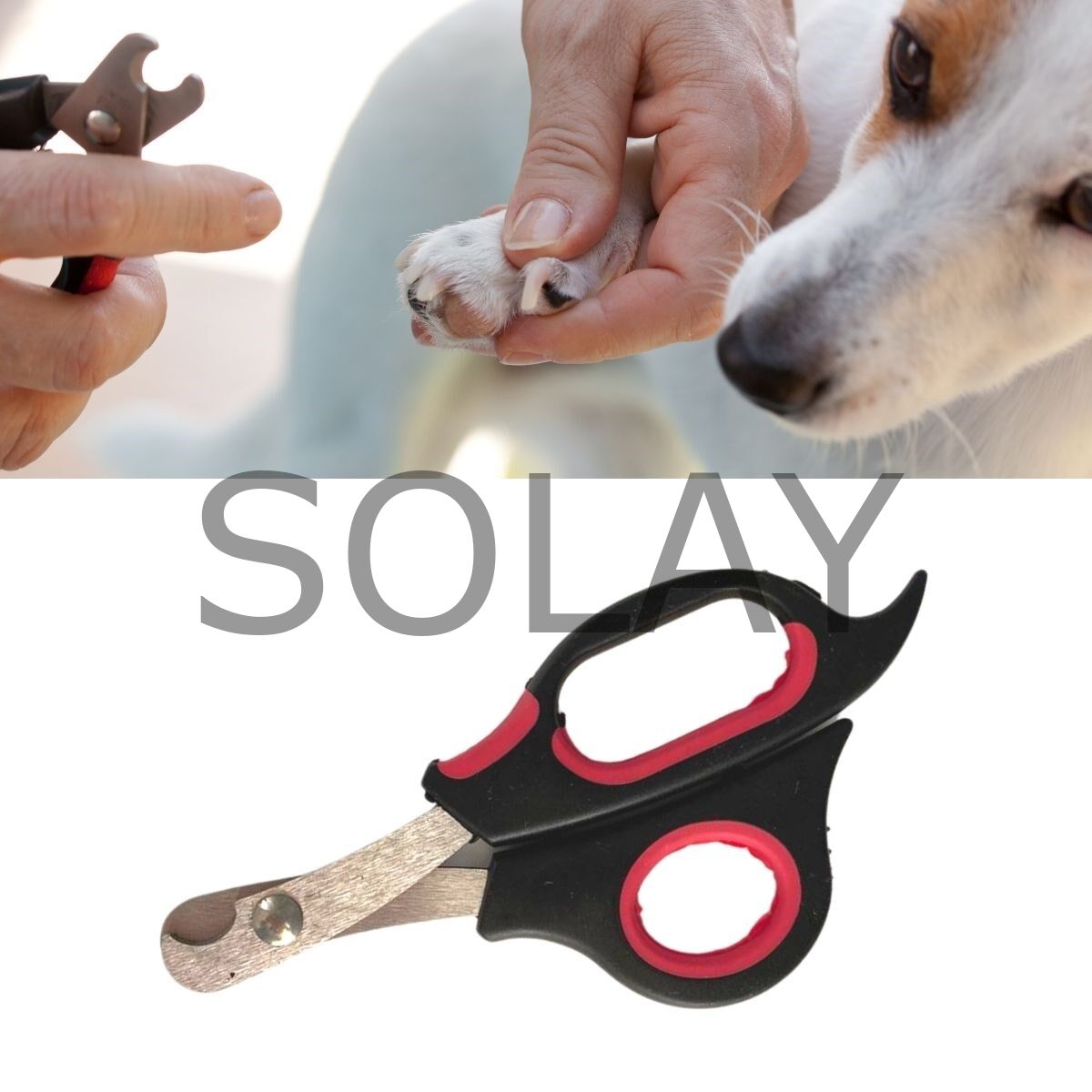Büyük Boy Evcil Hayvan Köpek Kedi Çelik Uçlu Tırnak Makası Pati Bakım Aleti