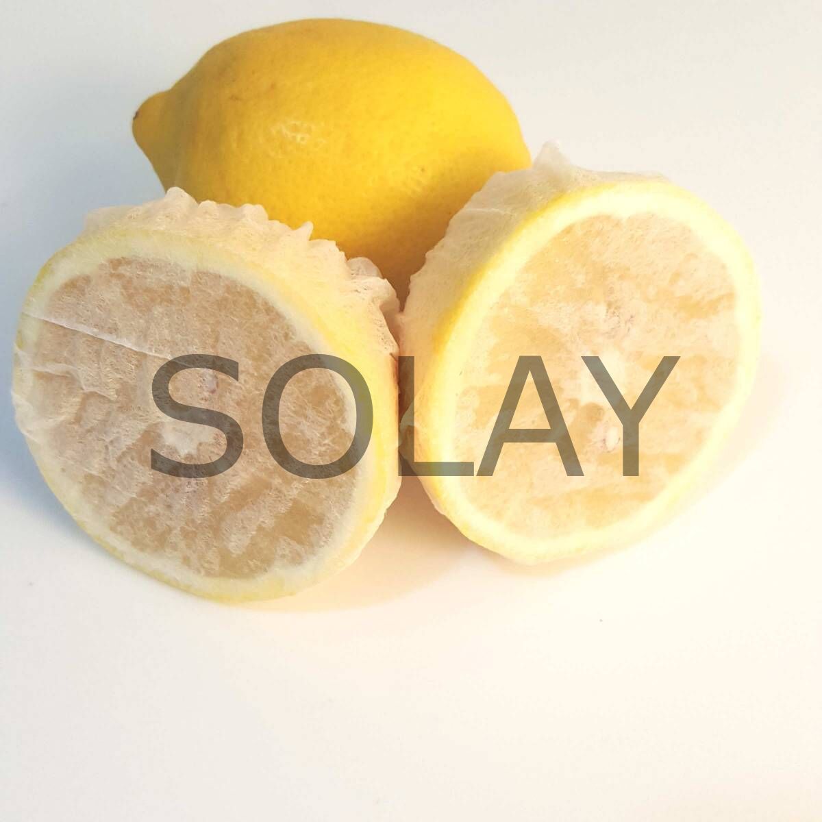 Limon Bonesi / 50 Adet / Bitki Çayı Bonesi