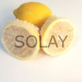 Limon Bonesi / 50 Adet / Bitki Çayı Bonesi