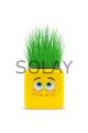 Çimoji 4 Figürlü Emoji Küp Çim Adam
