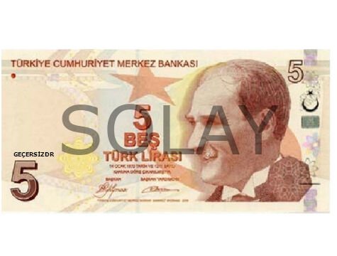 Düğün Parası - 100 Adet 5 TL
